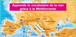 Science infographic – Educational infographic : Apprends le vocabulaire de la mer – idée de modification pour créer une petite…