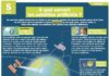 Science infographic – Educational infographic : Fiche exposés : À quoi servent les satellites artificiels