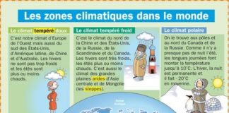 Science infographic – Educational infographic : Image�: Fiche expos�s : Les zones climatiques dans le monde