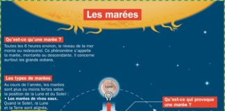 Science infographic – Fiche exposés : Les marées …