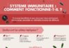 Science infographic – Infographie : comment fonctionne le système immunitaire ?