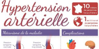 Educational infographic : Science infographic – Infographie : hypertension artérielle
