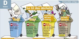Science infographic – Le tri des déchets