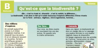 Science infographic – Qu’est-ce que la biodiversité ?