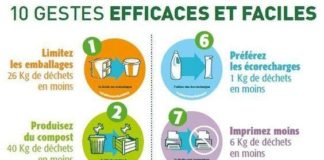 Science infographic – Sauvons la planète – Les Mots Tendresse