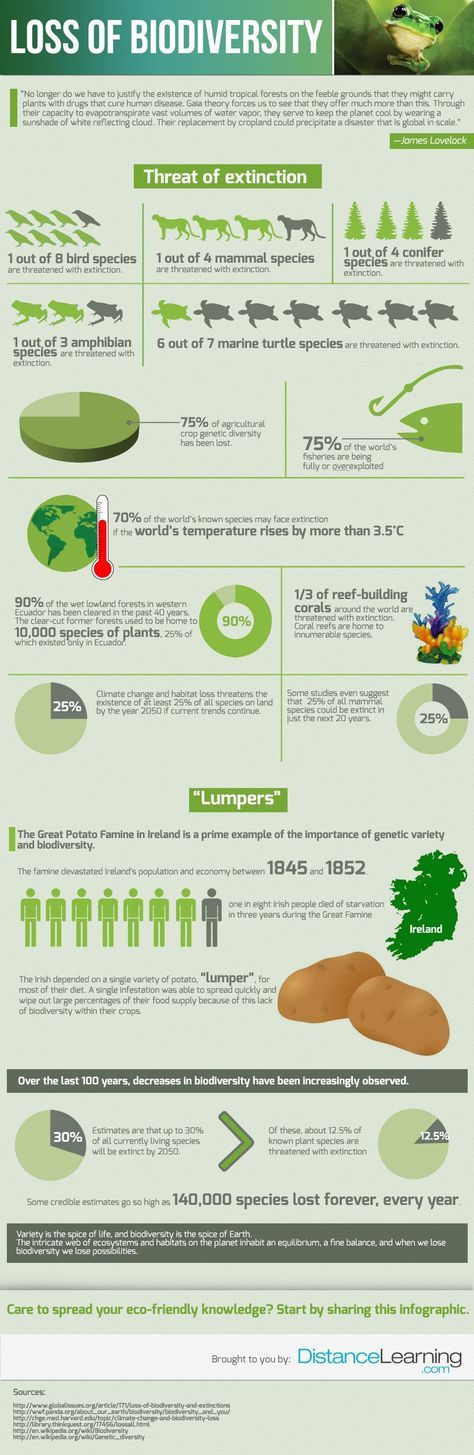 Science infographic - SavingSpecies » Top 10 Biodiversity Conservation ...