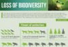 Science infographic – SavingSpecies » Top 10 Biodiversity Conservation Infographics – Infographic showing decline of biodiversity