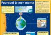 Science infographic – Science infographic – Fiche exposés : la Lune – pourquoi la mer monte ?