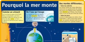 Science infographic – Science infographic – Fiche exposés : la Lune – pourquoi la mer monte ?