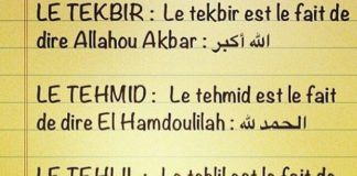 Science infographic – Science infographic – Islam