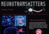 Science infographic – Science infographic – Neurotransmitters in the brain. Neuroscience. Brain chemicals – happy &…