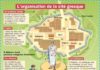 Science infographic – Science infographic – Organisation de la cité grecque