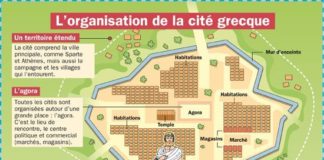 Science infographic – Science infographic – Organisation de la cité grecque