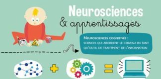 Science infographic – Téléchargement : neurosciences, les 4 piliers de l’apprentissage