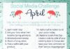 Social media infographic – April Social Media Challenge – CinchShare Blog. www.jennpennbags.com