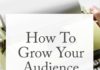 Social media infographic – How To Grow Your Audience If You Hate Social Media