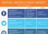 Social media infographic – WordPress Guide