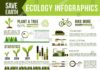 Statistics infographic : Ecology and nature conservation infographic. Air pollution from vehicles, indust…