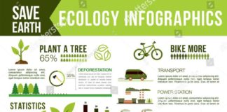 Statistics infographic : Ecology and nature conservation infographic. Air pollution from vehicles, indust…