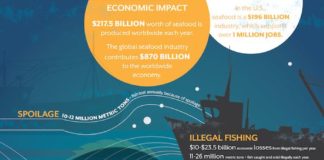 Statistics infographic : Infographic: The Impact of Overfishing, in Statistics | Future of Fish