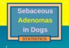 Statistics infographic : Sebaceous Adenomas in Dogs Statistical Infographic. Feel free to use this for y…