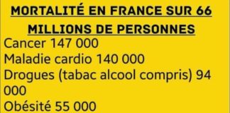 Statistics infographic : Statistiques