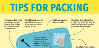 Travel infographic –