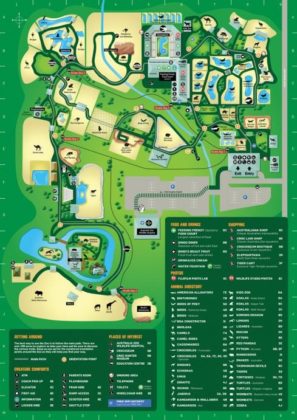 Travel infographic - Australia Zoo Map - InfographicNow.com | Your ...