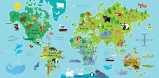 Travel infographic – Edwina World Map Animal Pals Framed Canvas Art