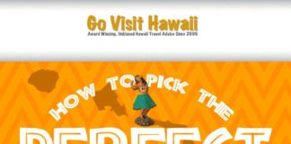 Travel infographic – How to Choose the Best Island for Your Hawaii Vacation