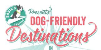 Travel infographic – Infographic | Dog Friendly Destinations – Seattle, WA | Basil's Travels