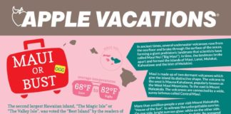 Travel infographic – Maui Travel Tips endlessdestinatio…
