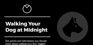 Travel infographic – Midnight Walk infographic template