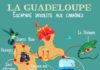 Travel infographic – Pour mon premier voyage en Guadeloupe, j'ai effectué un séjour éclair de …
