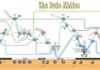 Travel infographic – The Big Lebowski Time Line Infographic