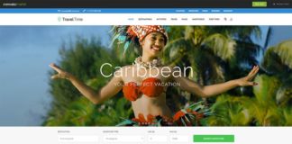 Travel infographic – Travel Time – Tour, Hotel and Vacation Travel WordPress Theme