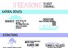 Travel infographic – Travel infographic – 11 Reasons to Visit Cornwall #infographic #travel