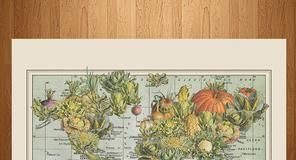 Travel infographic – Travel infographic – Custom push pin travel map.