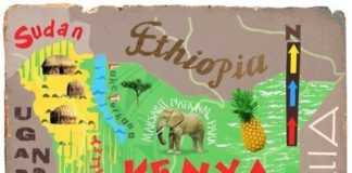 Travel infographic – Travel infographic – Illustrated Map of Kenya