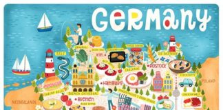 Travel infographic – Travel infographic – Illustrated Maps – Liv Wan Illustration Freelance Illustrator