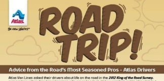Travel infographic – Travel infographic – Travel infographic – Road Trip Tips
