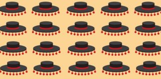 Travel infographic – Your Essential Travel Guide to Spain (Infographic)