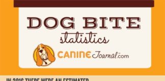 Statistics infographic : Dog Bite Statistics (How Likely Are You To Get Bit?)