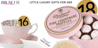 Fashion infographic : Under $100 Small Luxury Gifts That Look Worthy a Million