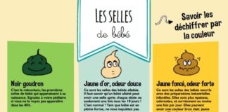 Educational infographic : Infographies : les différentes étapes de bébé