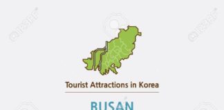 Travel infographic – Stock Vector