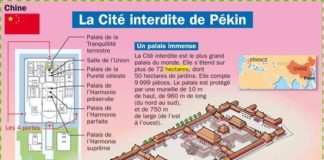 Science infographic – Educational infographic : Fiche exposés : La cité Interdite de Pékin – Chine…