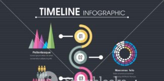 Statistics infographic : infographic statistics – Google Search