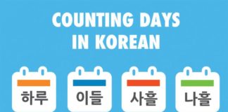 Educational infographic : Korean Language Infographics | Learn Basic Korean Vocabulary & Phrases with Dom …