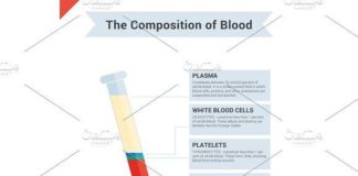Medical infographic : Medical infographic : Composition of whole blood. Medical Infographic